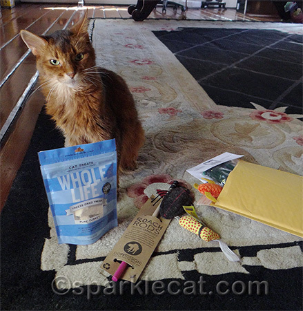 None of us kitties wanted to give these up!