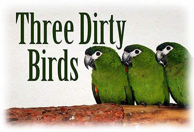 ThreeDirtyBirds-400