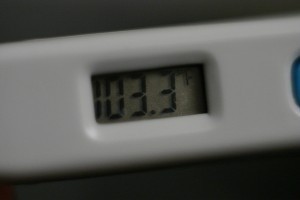 thermometer