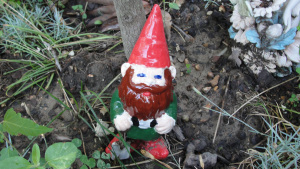 A home is not a home without a gnome