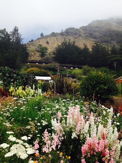 Part of the garden at Esalen