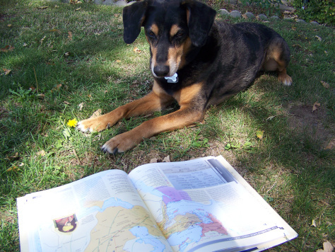 Alby - being forced to read again