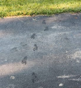 Baby Steps