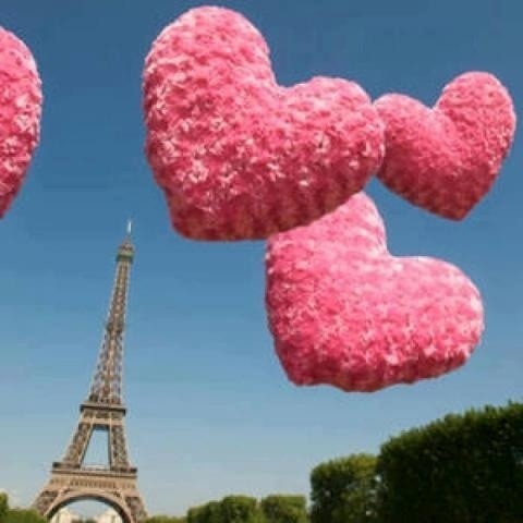  photo imagejpg1_zps9f58cf4b.jpg