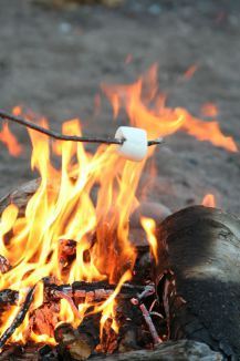 Roast that mallow!
