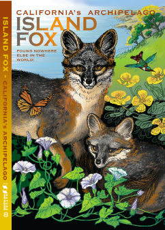 ISLAND FOX guide