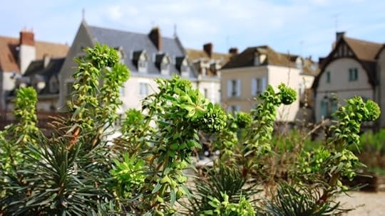 photo, image, houses, Chartres