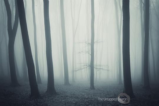 Foggy wood