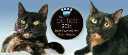 2014_Pettie_finalist