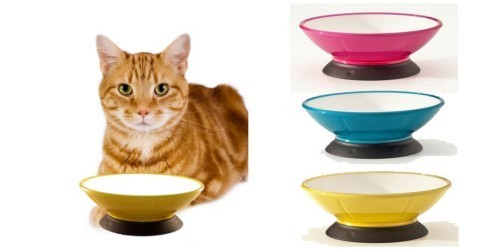 ModaPet_bowls