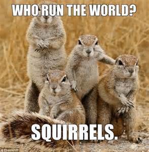 squirrel meme