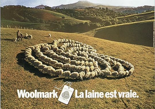 The Woolmark Sheep