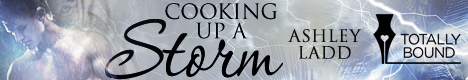 Cooking Storm - Author Banner
