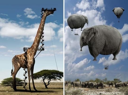 floating elephants