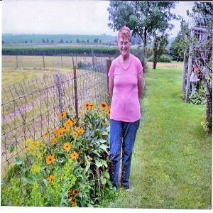 sunflowers and me