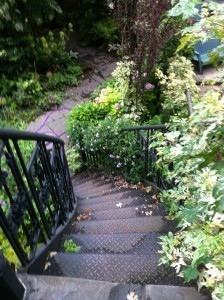 An enchanting Brooklyn garden