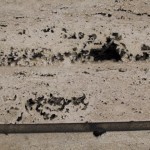 Travertine in Seattle