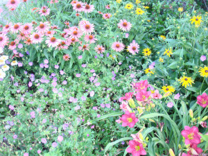 DSC02705