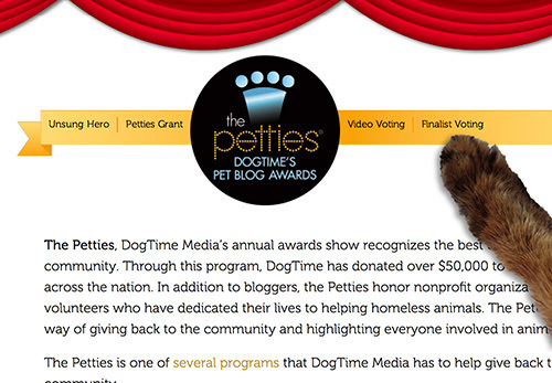 This is where you click for the voting page