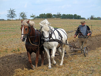 Farmer plowing in Fahrenwalde, Mecklenburg-Vor...