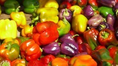 Colorful and diverse peppers on a farmers' market