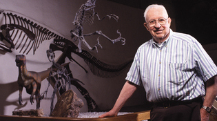 Ostrom at the Yale Peabody Museum, near a Deinonychus in mid-leap. (Photo: The Yale Peabody Museum of Natural History)
