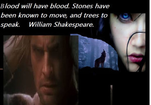 His Judas Bride. Creating the Brotherhood of Wolves