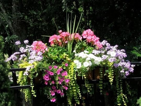 hooksandlattice_2100_150151407