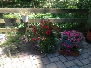 Thriving corner