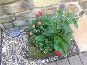 Pretty trough