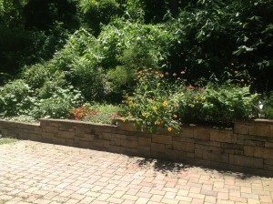 Longer view of garden wall