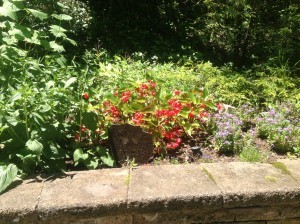 Happy faerie garden