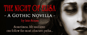 BOOK BANNER-the night of elisa