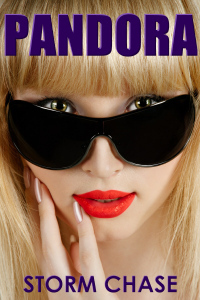 Storm Chase - Book Cover