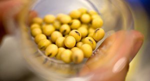 Photographer: Daniel Acker/Bloomberg via Getty Images