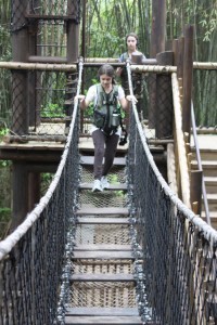 The Wild Africa Trek is a special treat for older kids. 