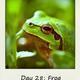 109084853 80 80 #BlogFlash2012: 30 Days, 30 Prompts, 30 Posts: #28 Frog