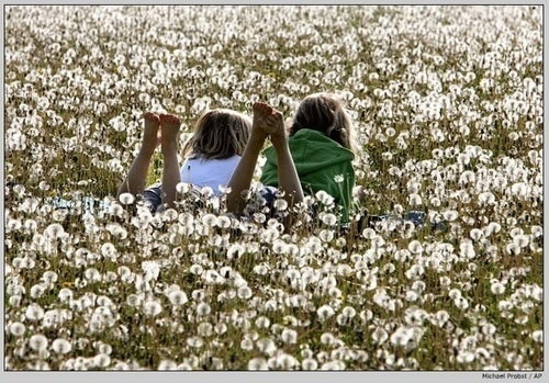  photo imagejpg1_zps33653c98.jpg