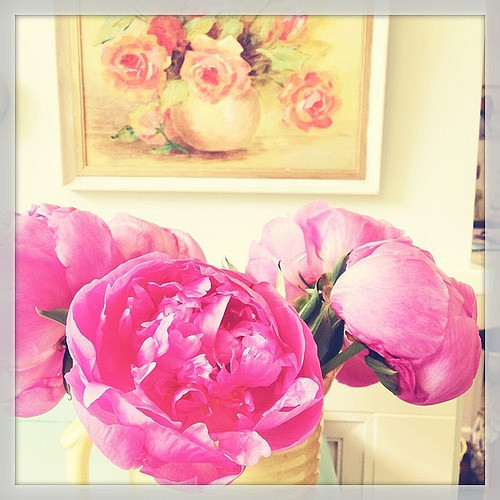 I am falling back in love with #rumi: Be ground. Be crumbled. So wild flowers will come up where you are. You have been stony for too many years. Try something different. Surrender. ~Rumi #inspired