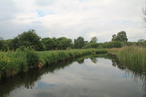 Wicken Fen
