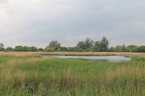 Wicken Fen