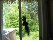 ???????????????????????????????