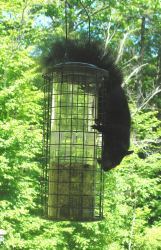 ???????????????????????????????