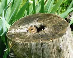 ???????????????????????????????