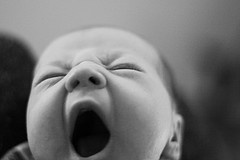 Baby yawning 