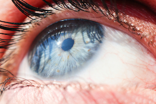 eye