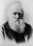 charles-darwin-62967_150