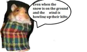 kilteduuuiiiooooooo8880