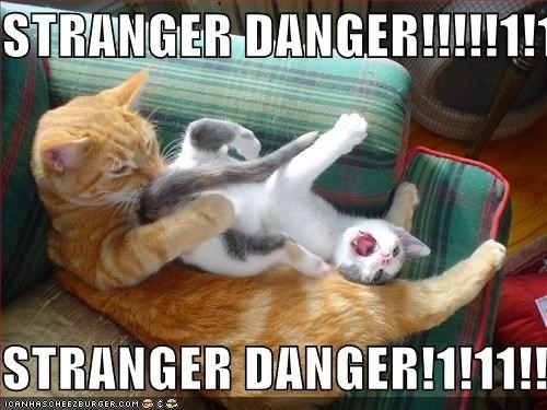  photo imagejpg1_zpsc1dab127.jpg