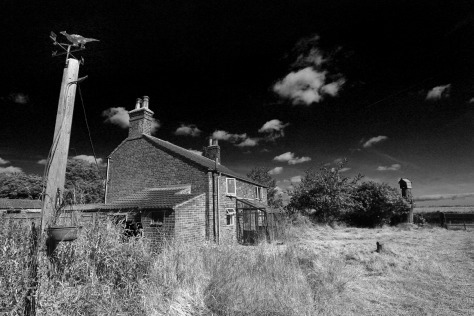 In the Marshlands